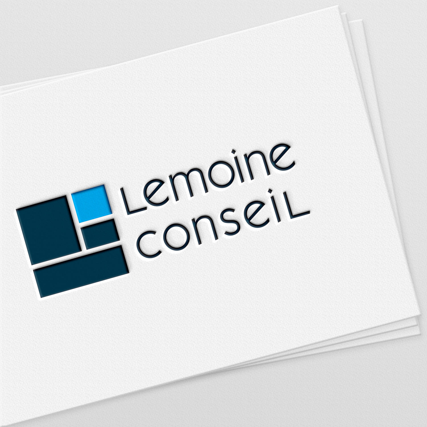 image logo lemoine conseil