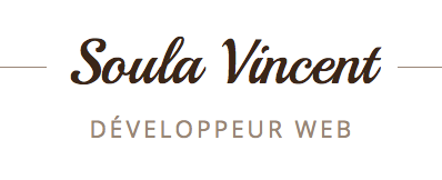image logo vincent soula